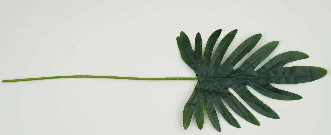 Janado Cut Leaf Small 68x20cm